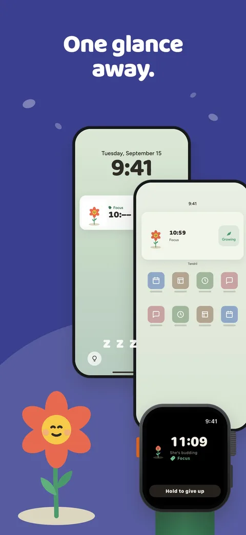 One glance away: Lock Screen Live Activity, widgets and Apple Watch